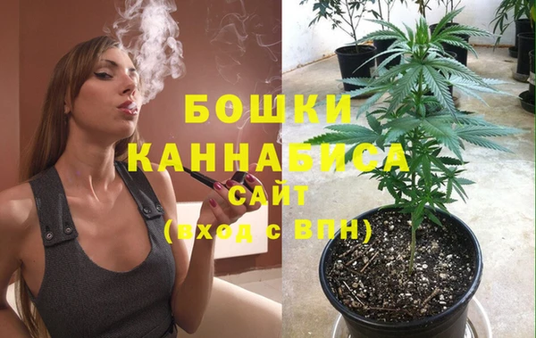 spice Бронницы