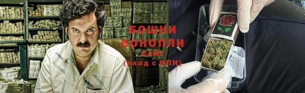 spice Бронницы