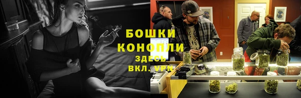 spice Бронницы