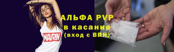 ГАЛЛЮЦИНОГЕННЫЕ ГРИБЫ Бородино