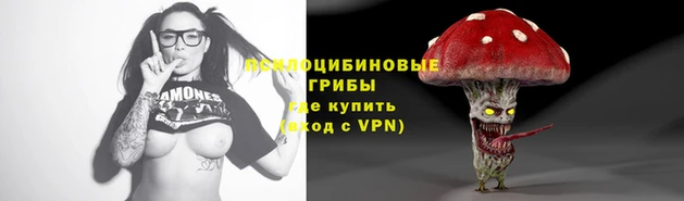 spice Бронницы