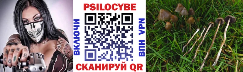 Галлюциногенные грибы Psilocybine cubensis  Нарьян-Мар 
